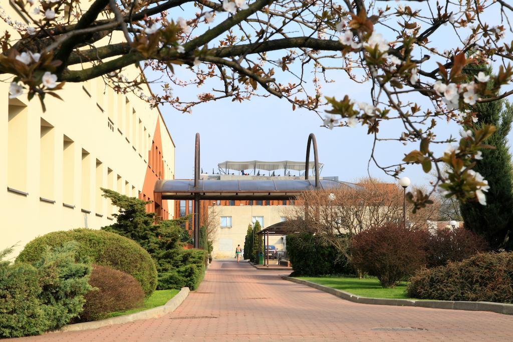 Centrum Konferencyjne Ibib Pan Varşovia Exterior foto